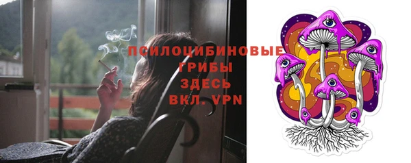хмурый Алексин