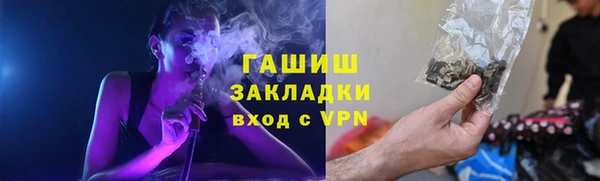 хмурый Алексин