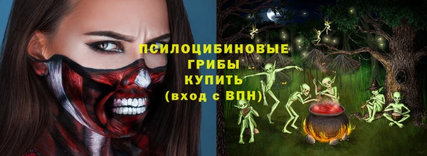 хмурый Алексин