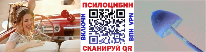 Псилоцибиновые грибы Psilocybe  Безенчук 