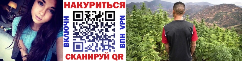 Конопля гибрид  хочу   Безенчук 
